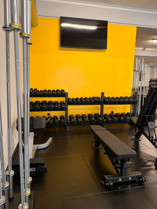 DUMBELLS SEM FIM!